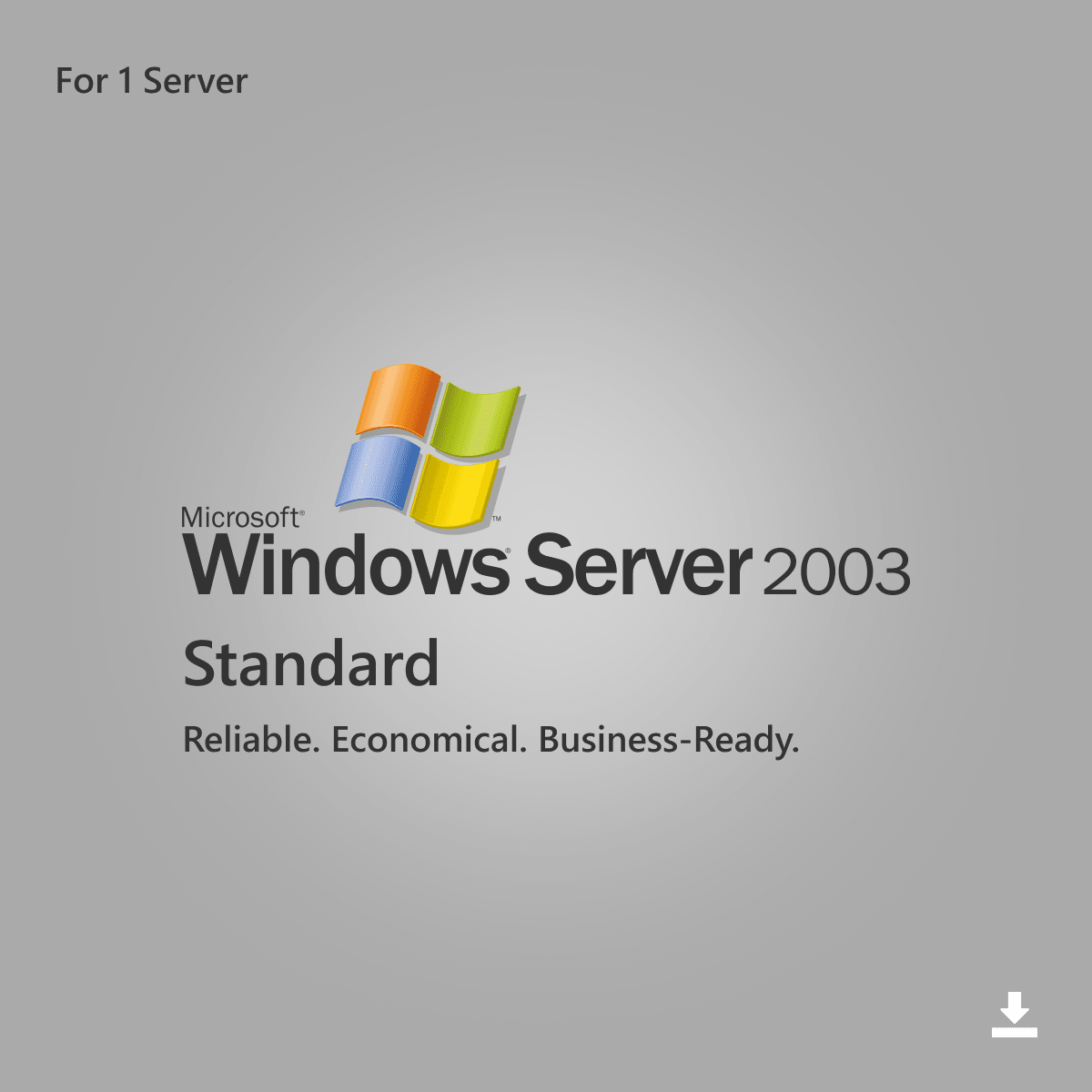 windows server 2003 logo