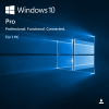 10_pro-big