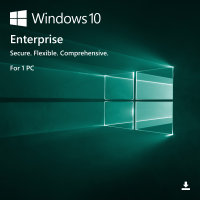 10_enterprise-big
